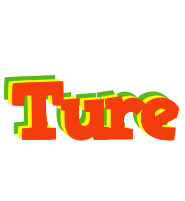Ture bbq logo
