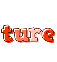 Ture paint logo