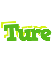 Ture picnic logo