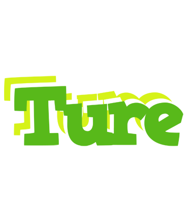 Ture picnic logo