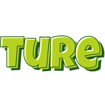 Ture summer logo