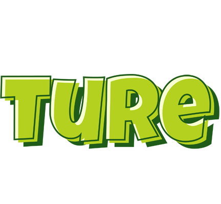 Ture summer logo