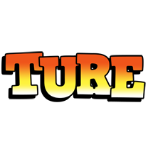 Ture sunset logo