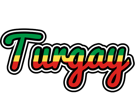 Turgay african logo