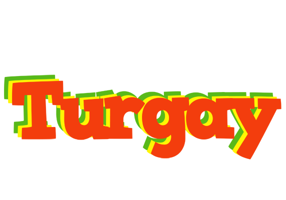 Turgay bbq logo