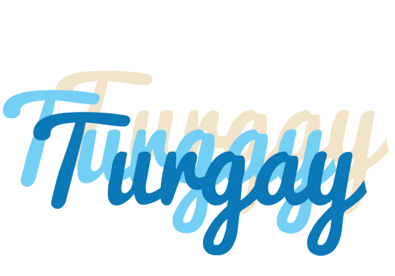 Turgay breeze logo