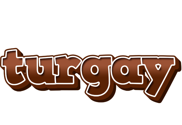 Turgay brownie logo