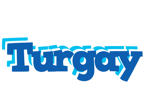 Turgay business logo