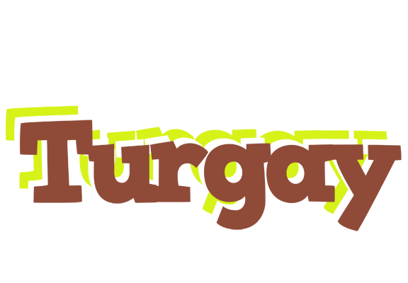 Turgay caffeebar logo