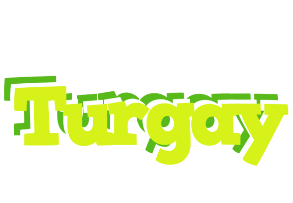 Turgay citrus logo