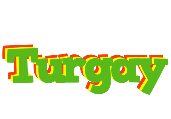 Turgay crocodile logo