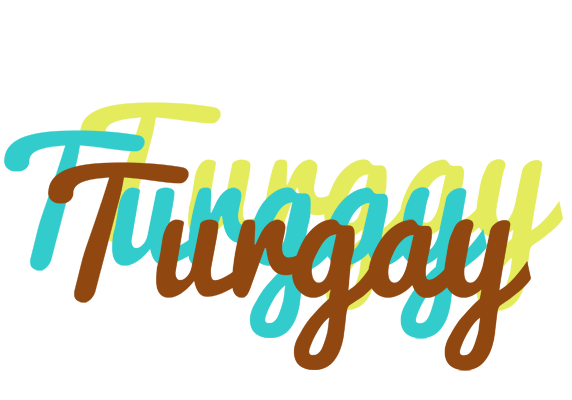 Turgay cupcake logo