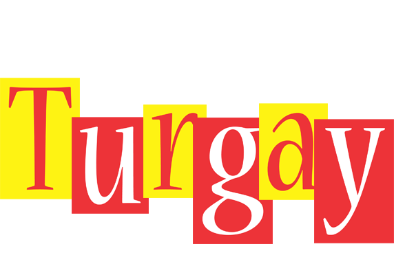 Turgay errors logo