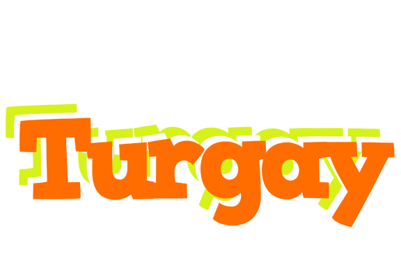 Turgay healthy logo