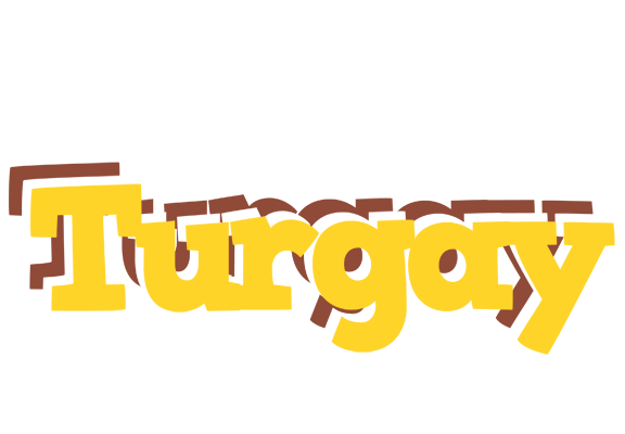 Turgay hotcup logo