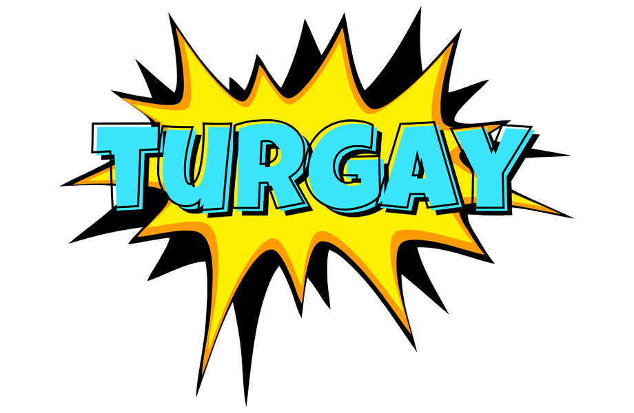 Turgay indycar logo