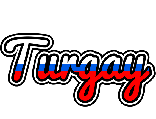 Turgay russia logo