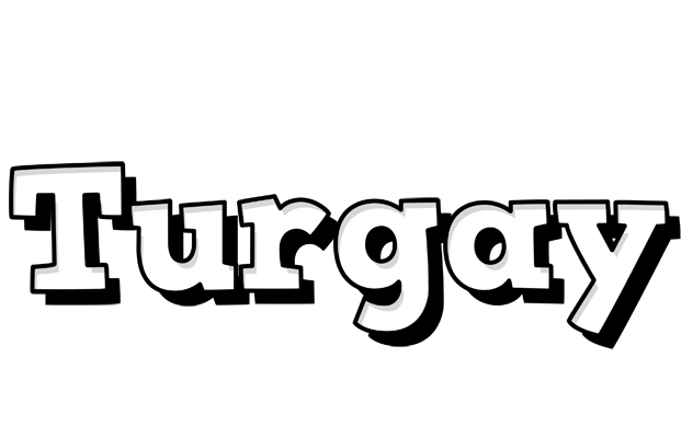 Turgay snowing logo