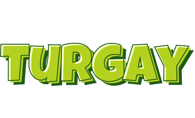 Turgay summer logo