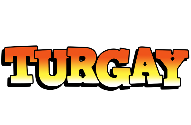 Turgay sunset logo