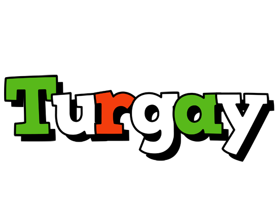 Turgay venezia logo