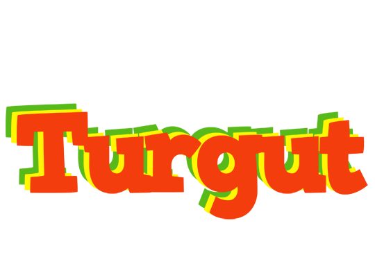 Turgut bbq logo