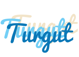 Turgut breeze logo
