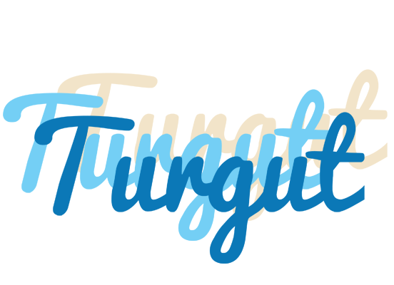 Turgut breeze logo