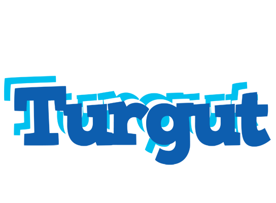 Turgut business logo