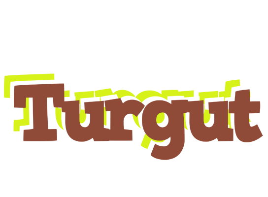Turgut caffeebar logo