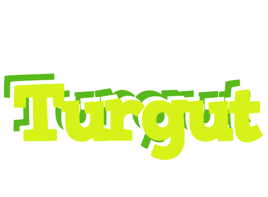 Turgut citrus logo