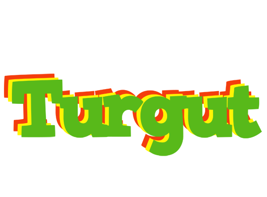 Turgut crocodile logo