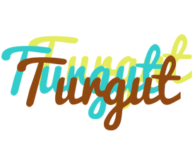 Turgut cupcake logo