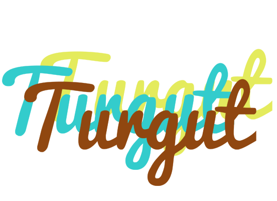 Turgut cupcake logo