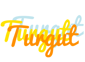 Turgut energy logo
