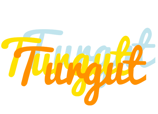 Turgut energy logo