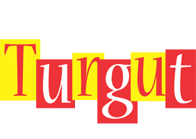 Turgut errors logo