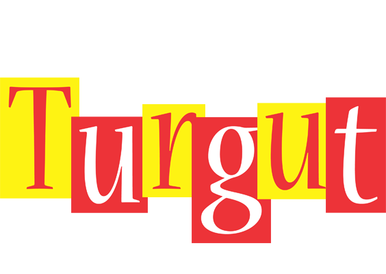 Turgut errors logo