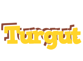 Turgut hotcup logo