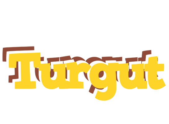 Turgut hotcup logo