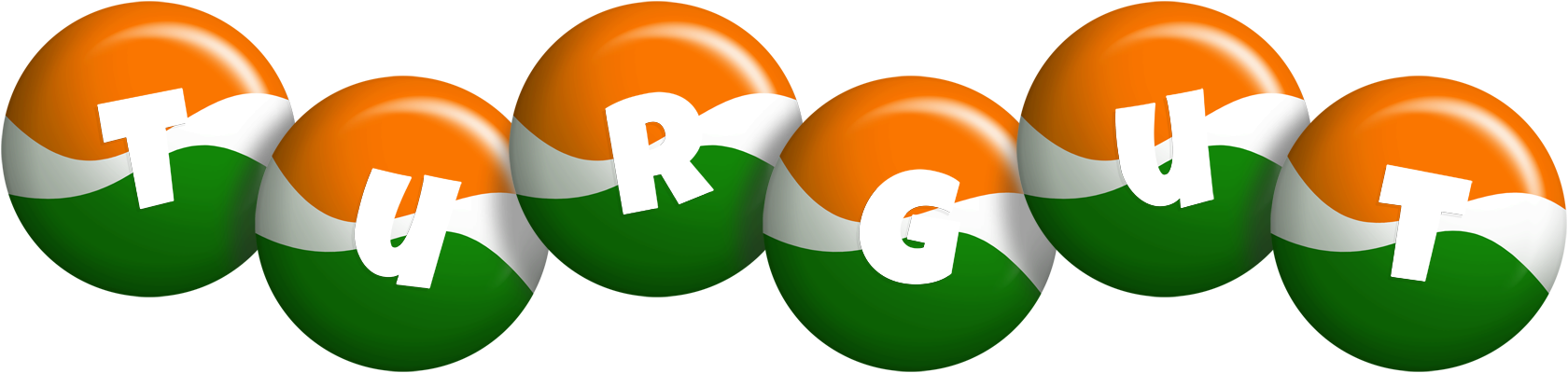 Turgut india logo