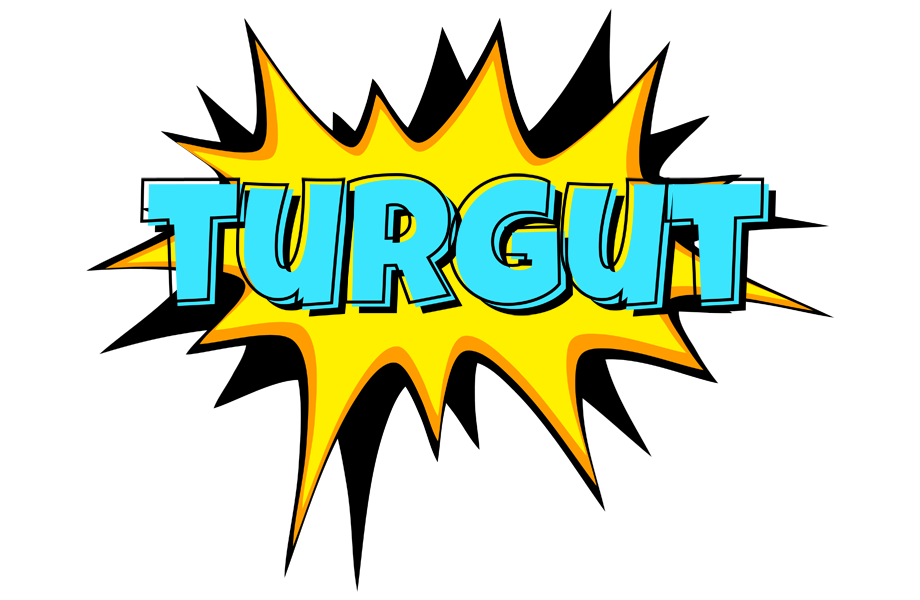 Turgut indycar logo