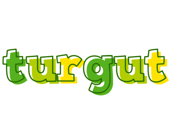 Turgut juice logo