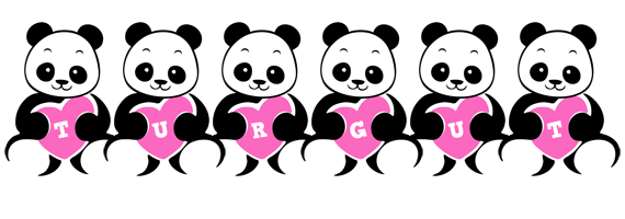 Turgut love-panda logo