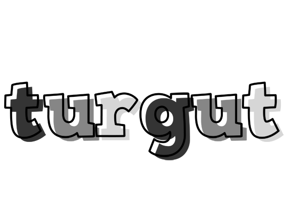 Turgut night logo