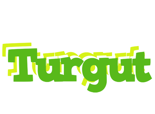 Turgut picnic logo