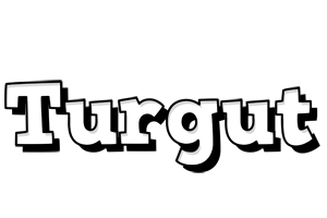 Turgut snowing logo