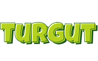 Turgut summer logo