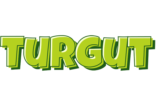 Turgut summer logo