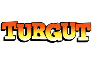 Turgut sunset logo